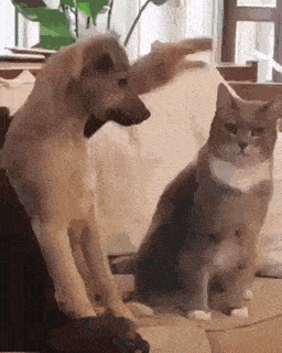 Acid GIFs, June 30 (25 gifs) Acid GIFs, June 30 (25 gifs)
