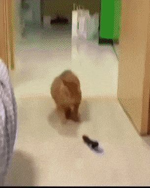 Acid GIFs, June 30 (25 gifs) Acid GIFs, June 30 (25 gifs)
