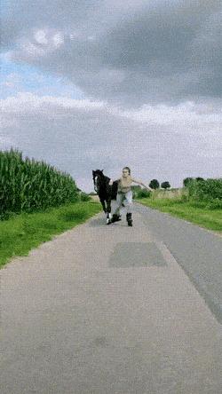 Acid GIFs, June 30 (25 gifs) Acid GIFs, June 30 (25 gifs)