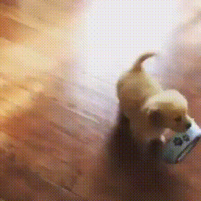 Acid GIFs, June 30 (25 gifs) Acid GIFs, June 30 (25 gifs)