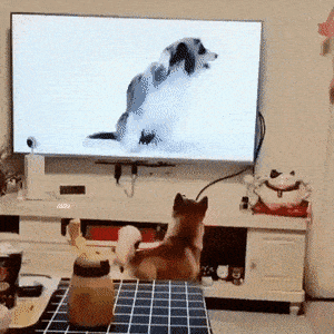 Acid GIFs, June 30 (25 gifs) Acid GIFs, June 30 (25 gifs)