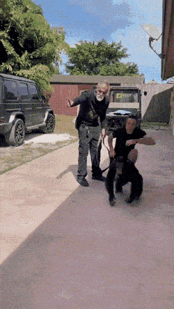 Acid GIFs, June 30 (25 gifs) Acid GIFs, June 30 (25 gifs)