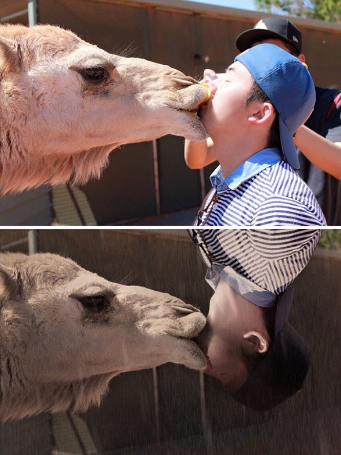 Funny Photoshop (20 pics)