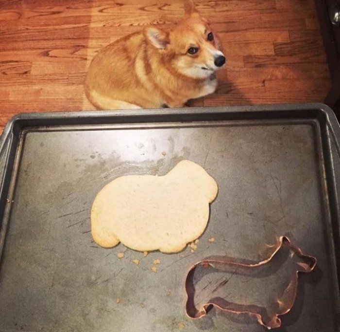 Failed Dishes (19 pics)