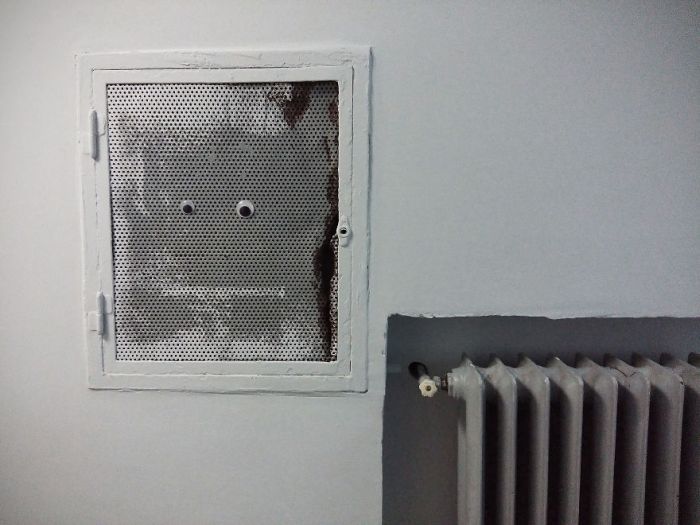Eyes Everywhere (20 pics)