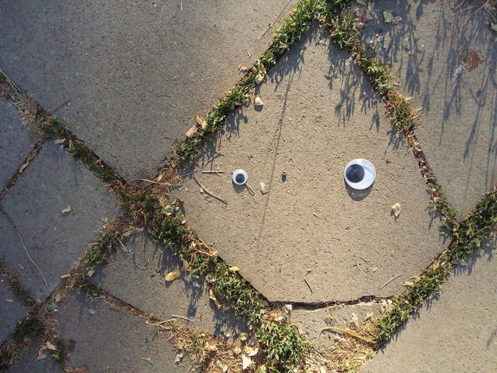 Eyes Everywhere (20 pics)