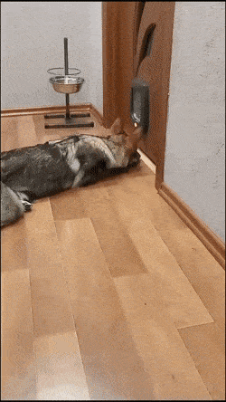 Acid GIFs, July 1 (25 gifs) Acid GIFs, July 1 (25 gifs)