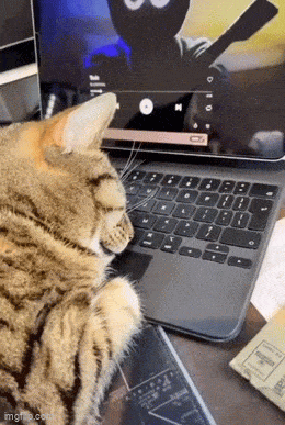Acid GIFs, July 1 (25 gifs) Acid GIFs, July 1 (25 gifs)