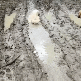 Acid GIFs, July 1 (25 gifs) Acid GIFs, July 1 (25 gifs)