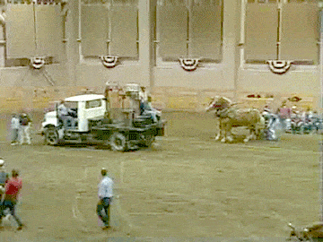 Acid GIFs, July 1 (25 gifs) Acid GIFs, July 1 (25 gifs)