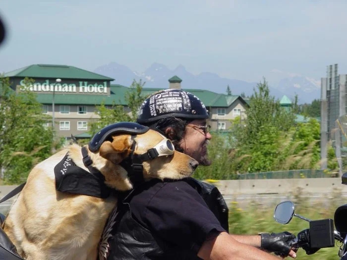 Strange Encounters On The Road (21 pics)