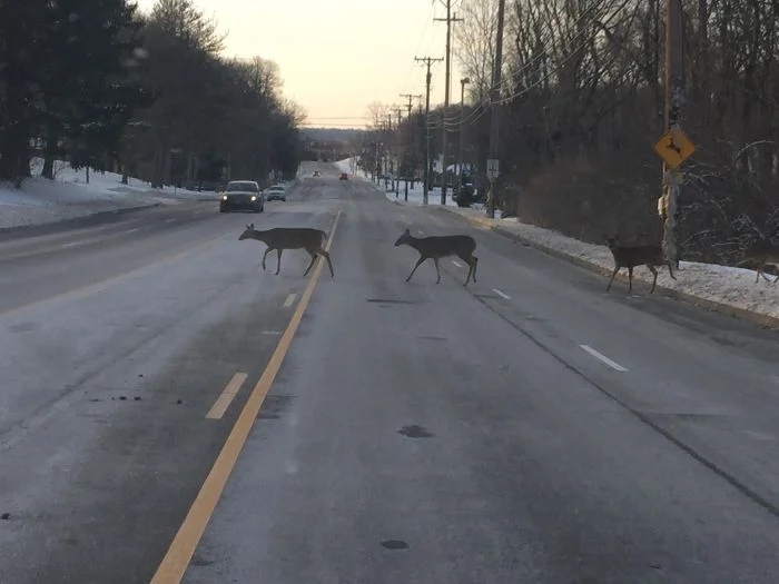 Strange Encounters On The Road (21 pics)