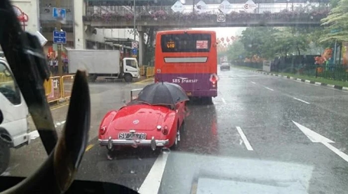 Strange Encounters On The Road (21 pics)