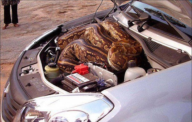Bad Days Happen (17 pics)
