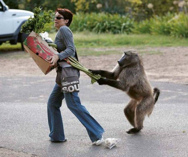 Bad Days Happen (17 pics)