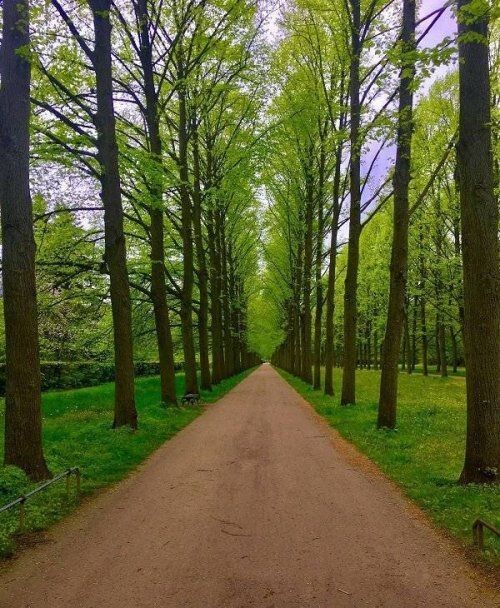 Photos For Perfectionists (20 pics)