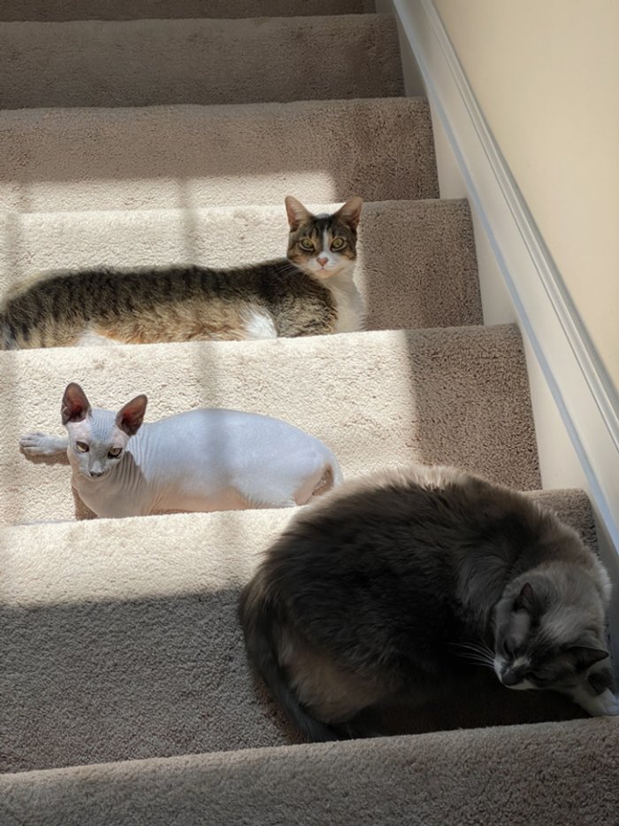 What Is Going On Here? (20 pics)