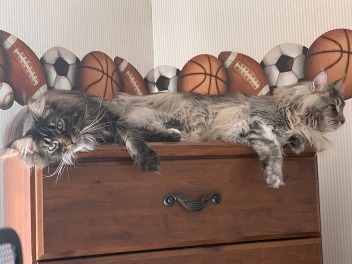 What Is Going On Here? (20 pics)