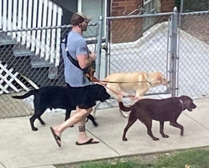 What Is Going On Here? (20 pics)