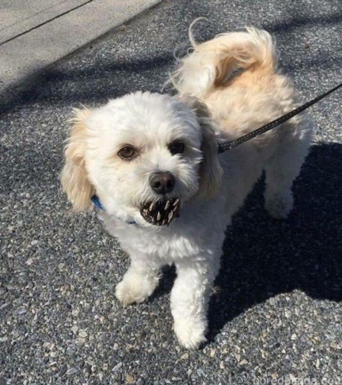What Is Going On Here? (20 pics)