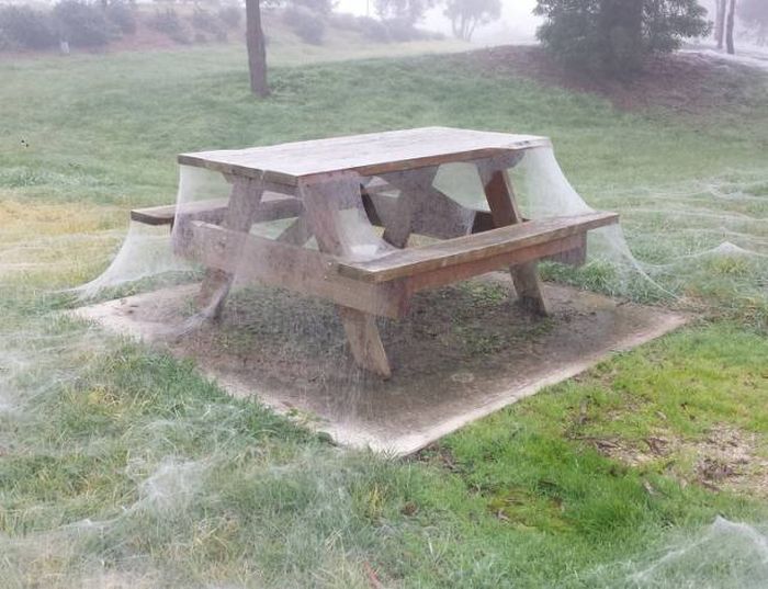 Creepy Photos (21 pics)