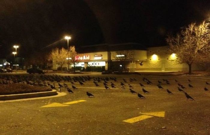 Creepy Photos (21 pics)