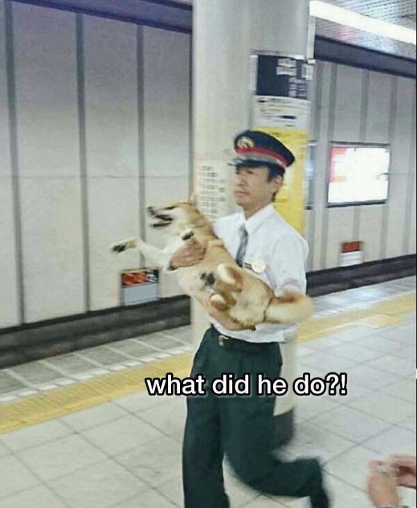 Daily Pictures. Part 2 (58 pics)