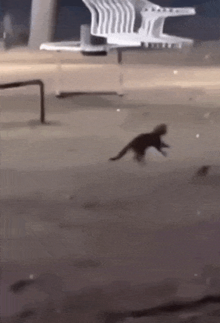 Acid GIFs, July 2 (25 gifs) Acid GIFs, July 2 (25 gifs)