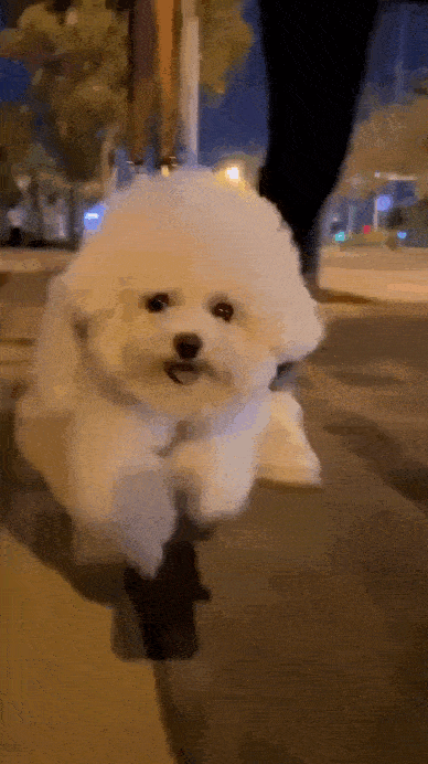 Acid GIFs, July 2 (25 gifs)