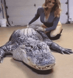 Acid GIFs, July 2 (25 gifs) Acid GIFs, July 2 (25 gifs)