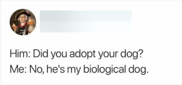 Posts For Animal Lovers (30 pics)