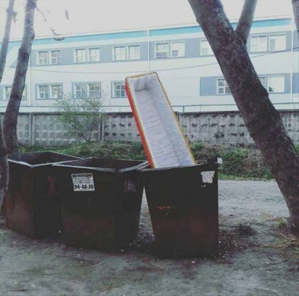 Daily Pictures. Part 1 (56 pics)