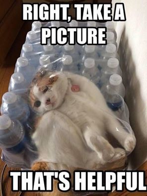 Daily Pictures. Part 2 (54 pics)