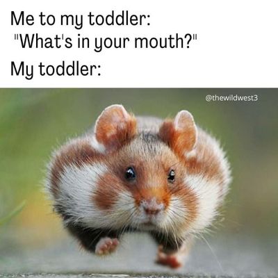 Daily Pictures. Part 2 (54 pics)