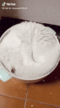 Acid GIFs, July 3 (25 gifs) Acid GIFs, July 3 (25 gifs)
