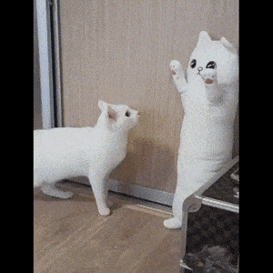 Acid GIFs, July 3 (25 gifs) Acid GIFs, July 3 (25 gifs)