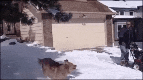 Acid GIFs, July 3 (25 gifs) Acid GIFs, July 3 (25 gifs)