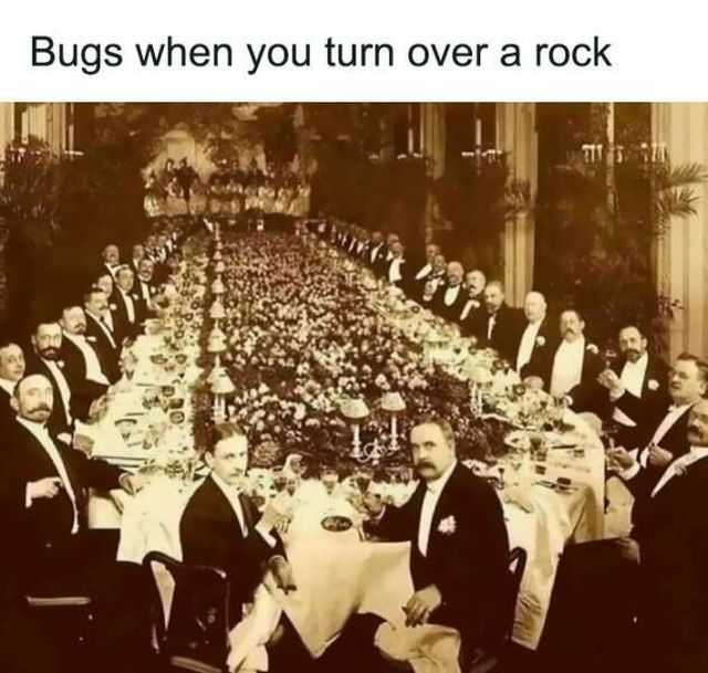 Funny Memes (25 pics)