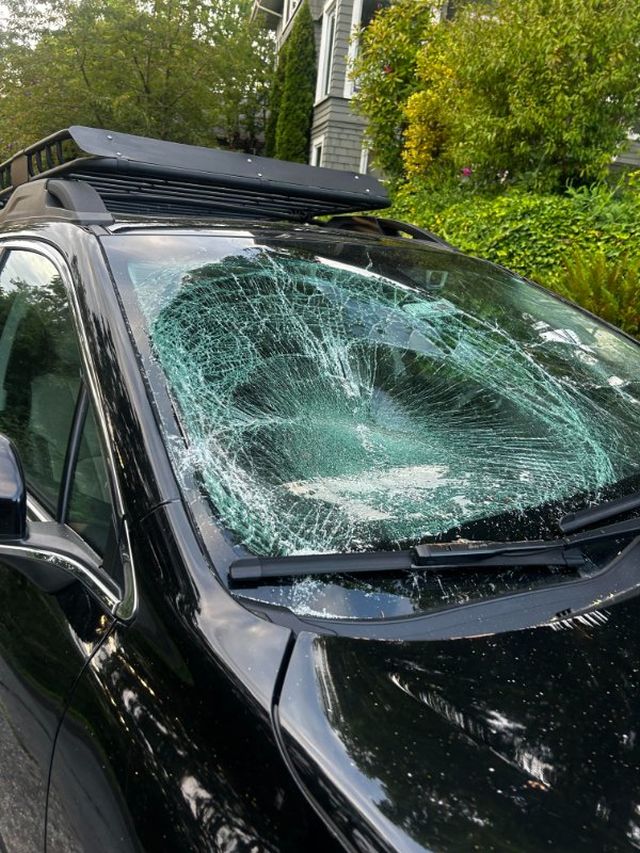 Bad Days Happen (24 pics)