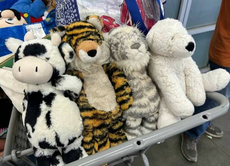 Cool Finds In Thrift Shops (23 pics)