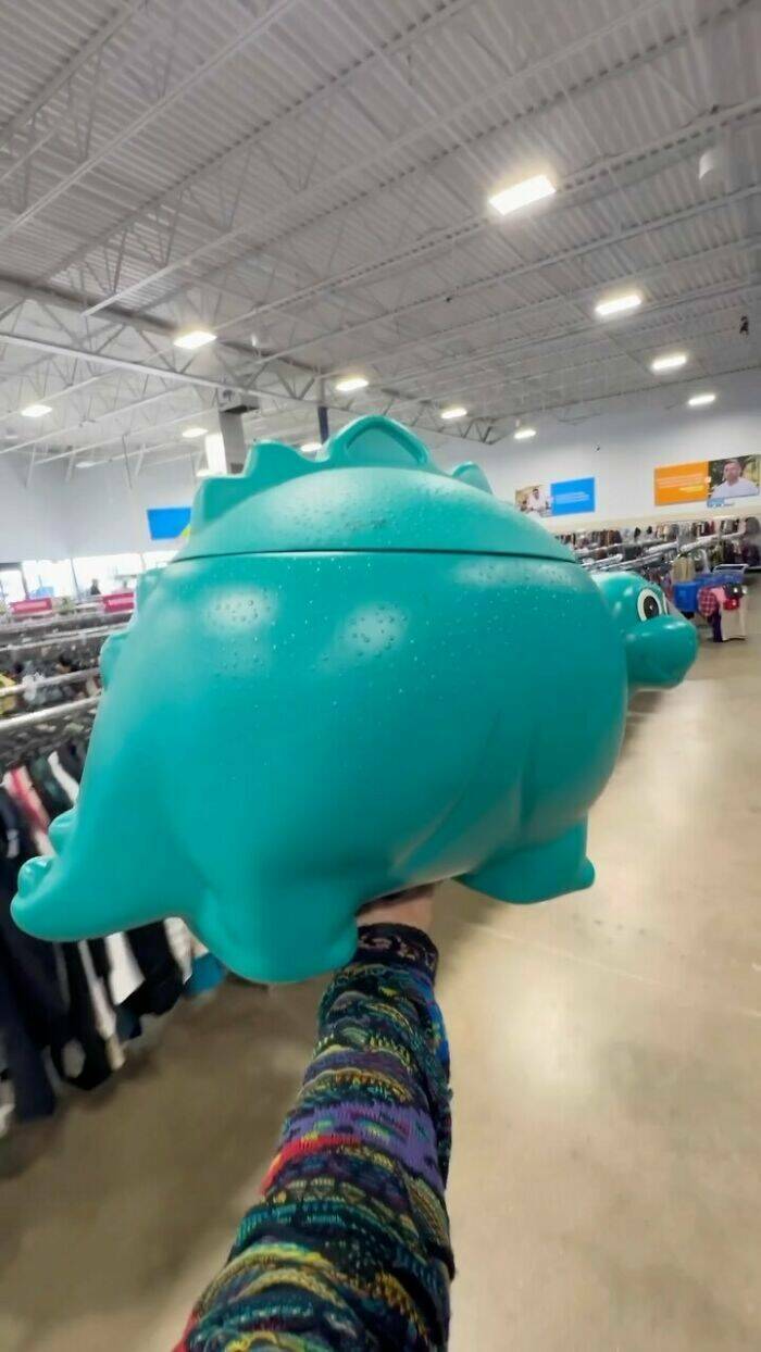 Cool Finds In Thrift Shops (23 pics)