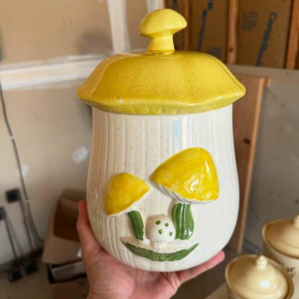 Cool Finds In Thrift Shops (23 pics)