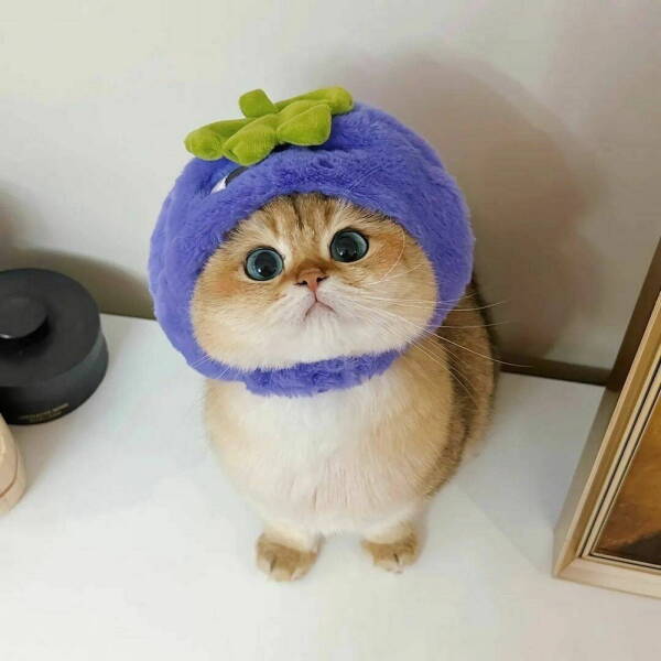 Daily Pictures. Part 1 (58 pics)