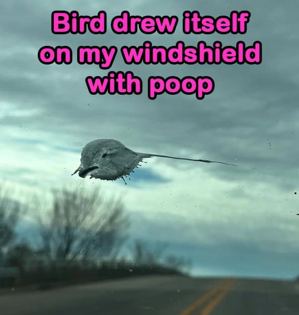 Daily Pictures. Part 2 (57 pics)
