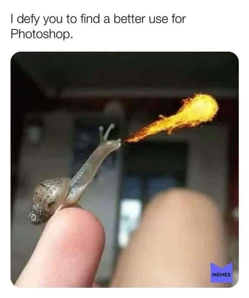 Daily Pictures. Part 2 (57 pics)