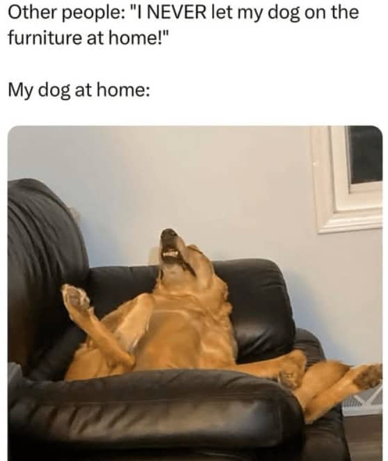 Daily Pictures. Part 2 (57 pics)