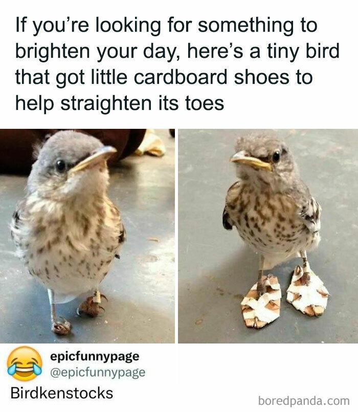 Daily Pictures. Part 2 (57 pics)