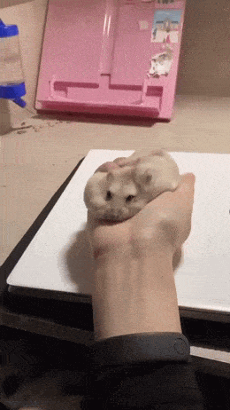 Acid GIFs, July 4 (25 gifs) Acid GIFs, July 4 (25 gifs)