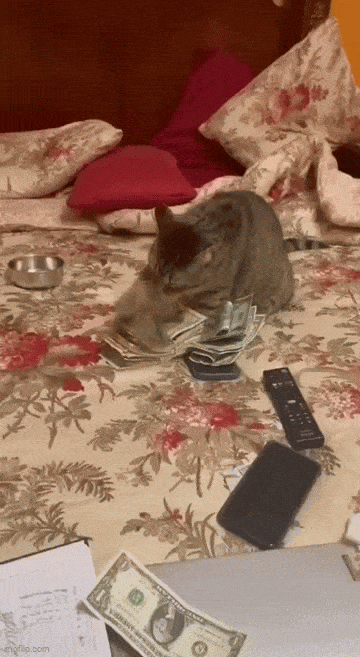 Acid GIFs, July 4 (25 gifs) Acid GIFs, July 4 (25 gifs)