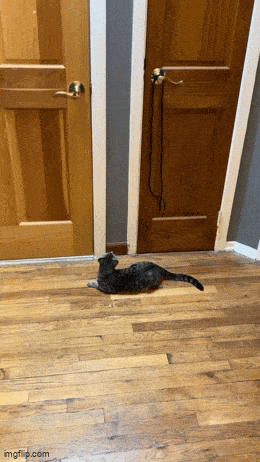 Acid GIFs, July 4 (25 gifs) Acid GIFs, July 4 (25 gifs)